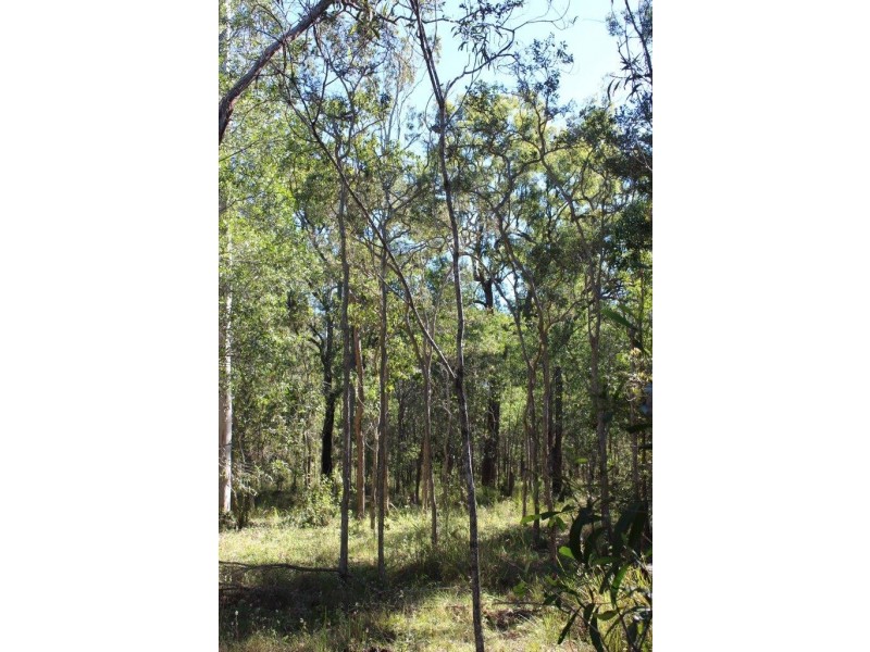 Captain Creek QLD 4677