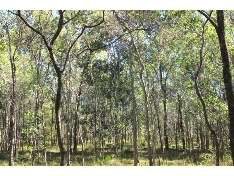 Captain Creek QLD 4677