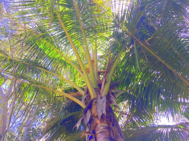 lot 14 Dolphin Court, Agnes Water QLD 4677