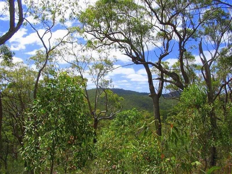 Captain Creek QLD 4677