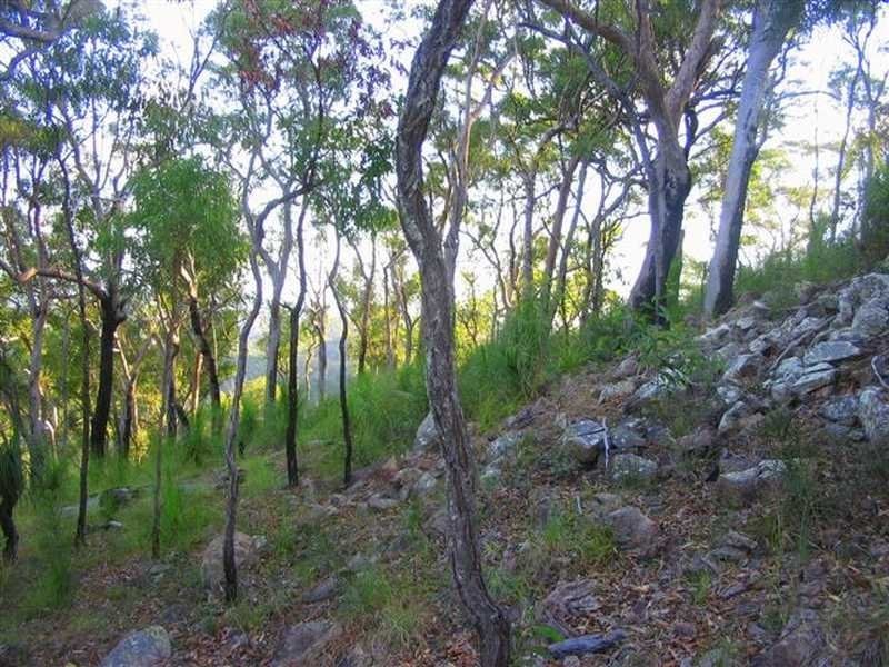 Captain Creek QLD 4677