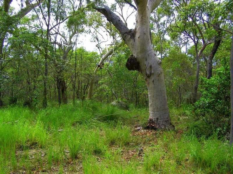 Lot 197 Countess Russell, Agnes Water QLD 4677