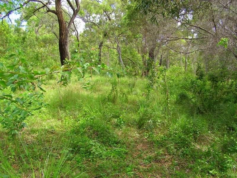 Lot 197 Countess Russell, Agnes Water QLD 4677