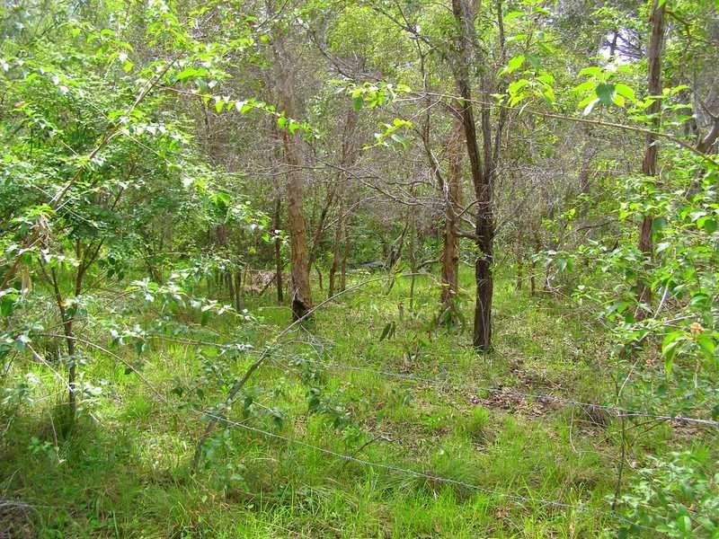 Lot 197 Countess Russell, Agnes Water QLD 4677