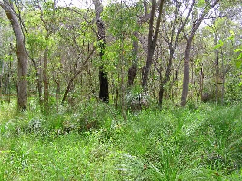 Lot 197 Countess Russell, Agnes Water QLD 4677