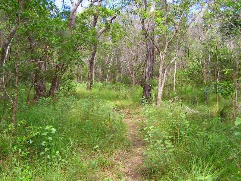 Lot 197 Countess Russell, Agnes Water QLD 4677