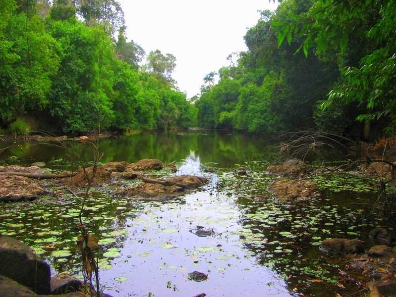 Captain Creek QLD 4677