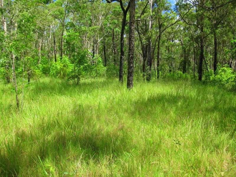 Captain Creek QLD 4677