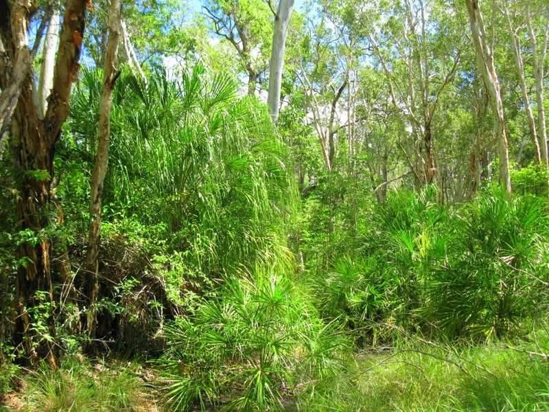 Captain Creek QLD 4677