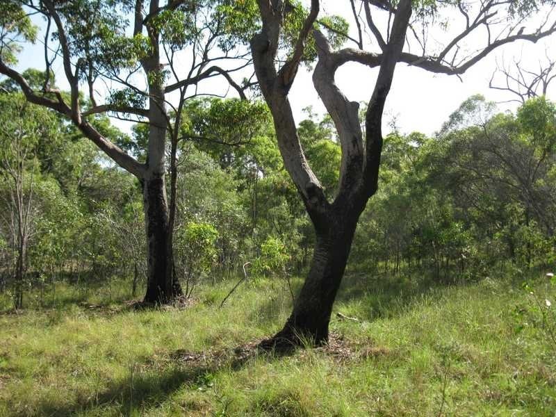 Captain Creek QLD 4677