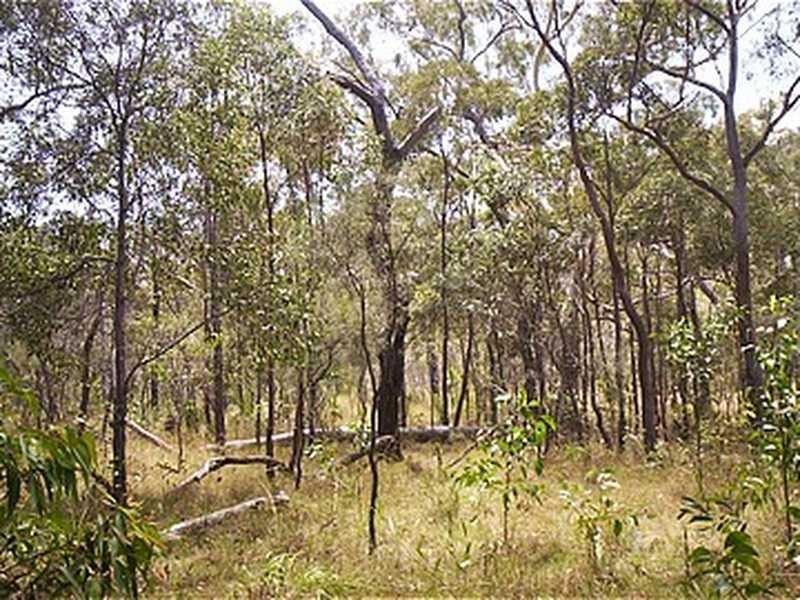 Captain Creek QLD 4677