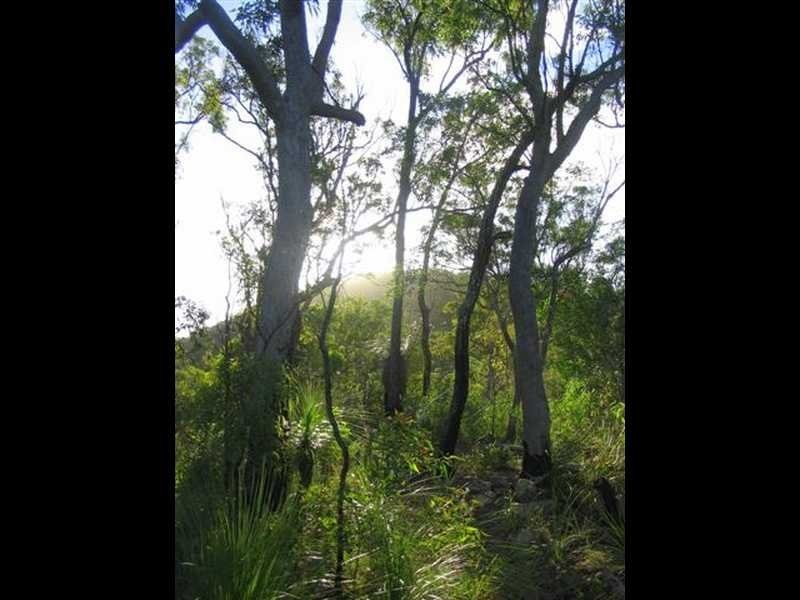 Captain Creek QLD 4677