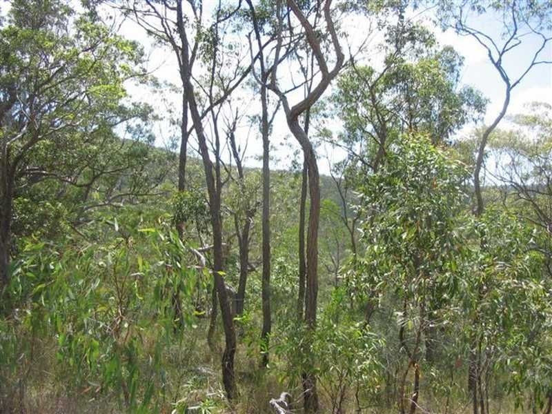 Captain Creek QLD 4677