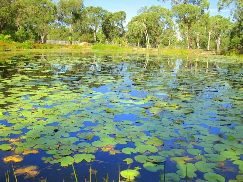 67 bicentennial, Agnes Water QLD 4677