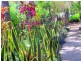 LOT/202 Streeter, Agnes Water QLD 4677