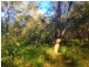 lot 4 Round Hill Road, Round Hill QLD 4677