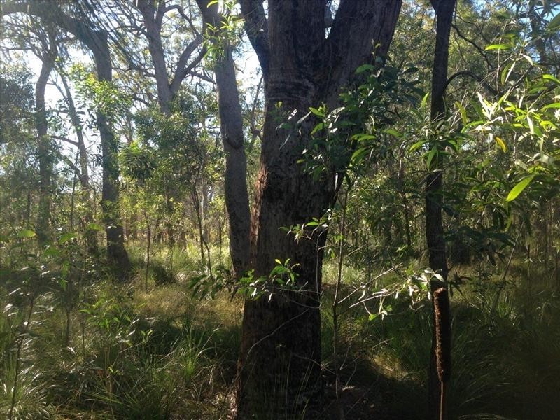 lot 4 Round Hill Road, Round Hill QLD 4677