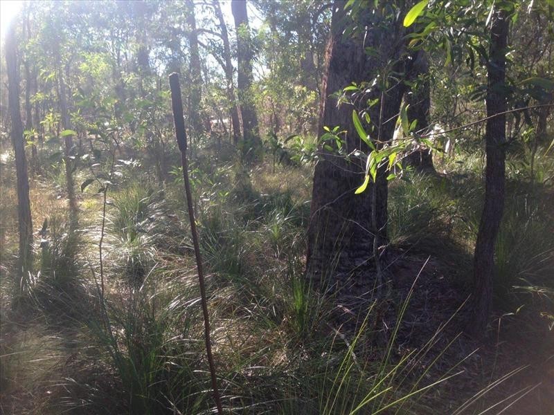 lot 4 Round Hill Road, Round Hill QLD 4677