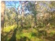 lot 4 Round Hill Road, Round Hill QLD 4677