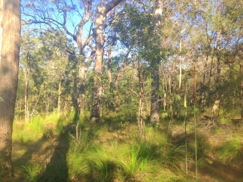 lot 4 Round Hill Road, Round Hill QLD 4677