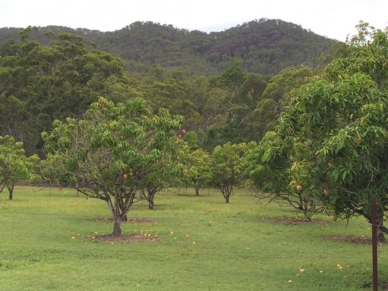 1833 Tableland Road, Mount Maria QLD 4674