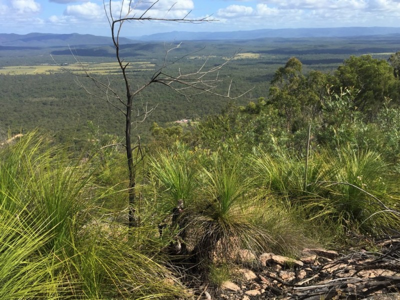1833 Tableland Road, Mount Maria QLD 4674