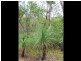Lot 51 Dillon Road, Captain Creek QLD 4677