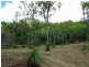 49 Lady Elliot Drive, Agnes Water QLD 4677