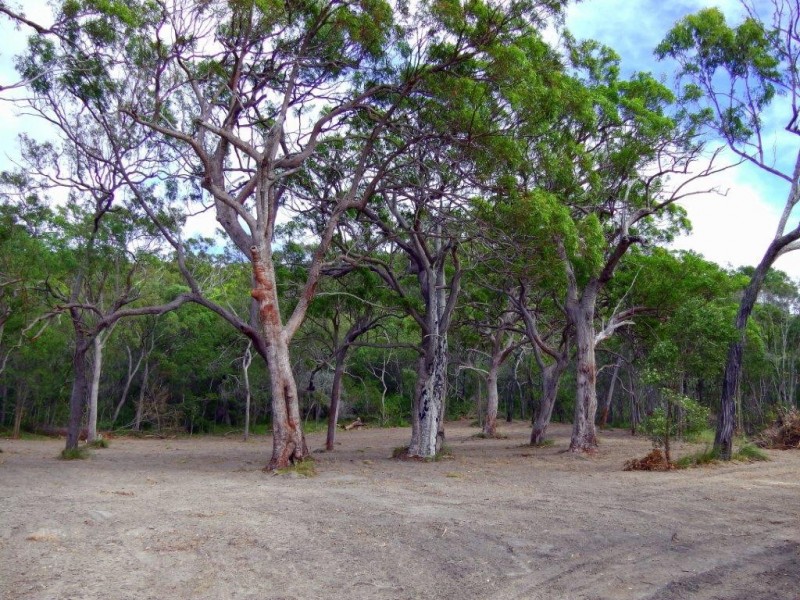 49 Lady Elliot Drive, Agnes Water QLD 4677