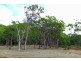 49 Lady Elliot Drive, Agnes Water QLD 4677
