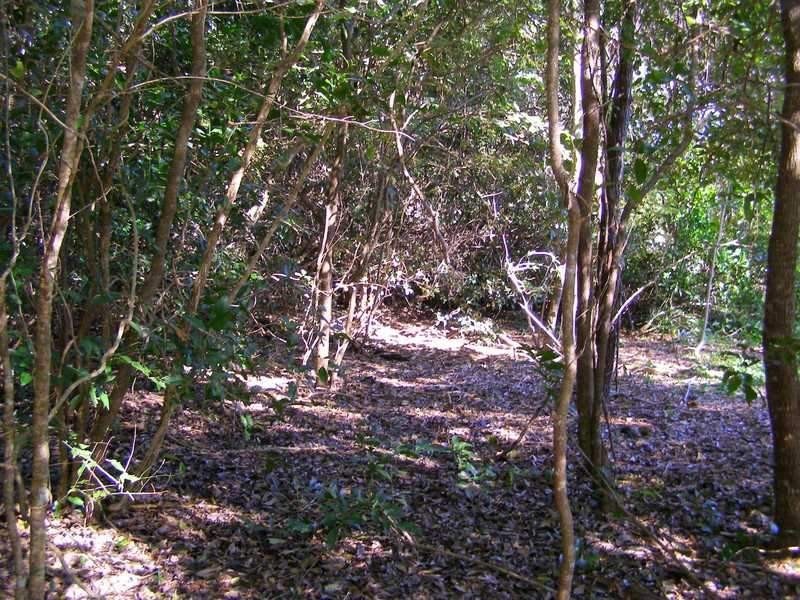 7 Fingerfield Road, Rules Beach QLD 4674