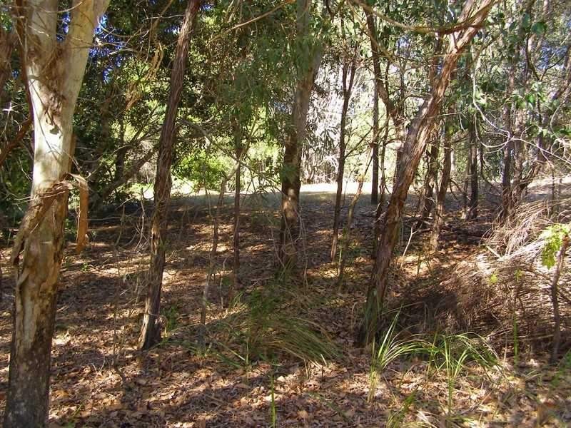 7 Fingerfield Road, Rules Beach QLD 4674