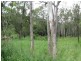 Captain Creek QLD 4677