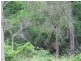 Captain Creek QLD 4677
