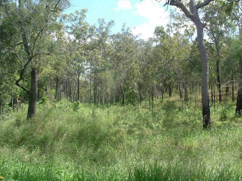 Captain Creek QLD 4677
