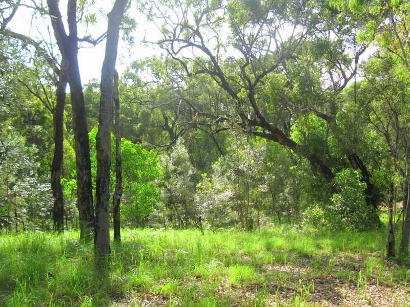 Captain Creek QLD 4677