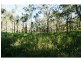 Captain Creek QLD 4677