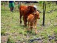 Round Hill QLD 4677