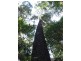 Round Hill QLD 4677