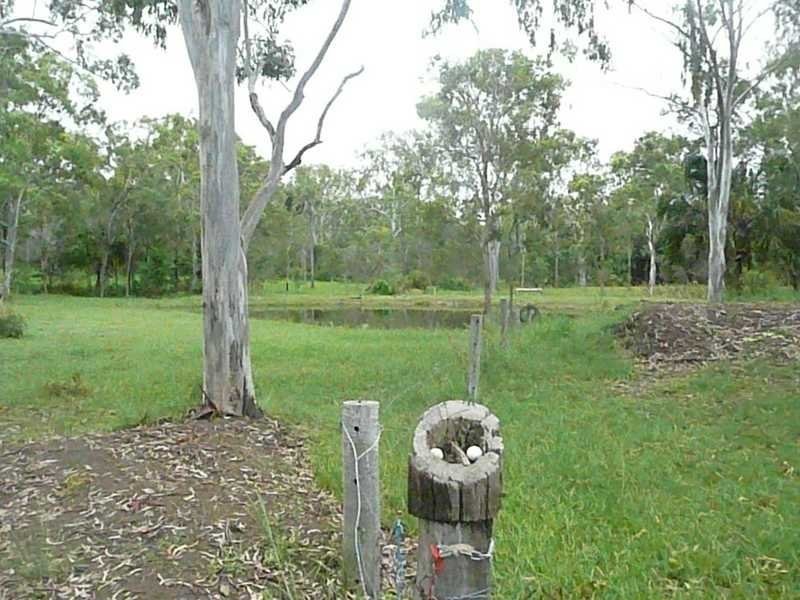 173 Rafting Ground Road, Agnes Water QLD 4677