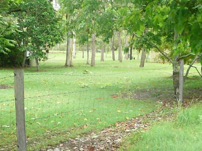 173 Rafting Ground Road, Agnes Water QLD 4677