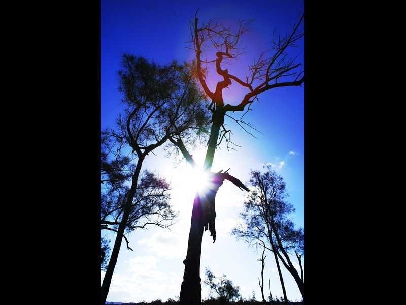 16 Matchbox Road, Deepwater QLD 4674