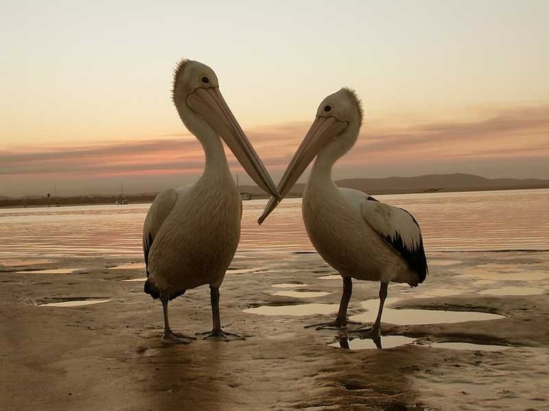 16 Matchbox Road, Deepwater QLD 4674