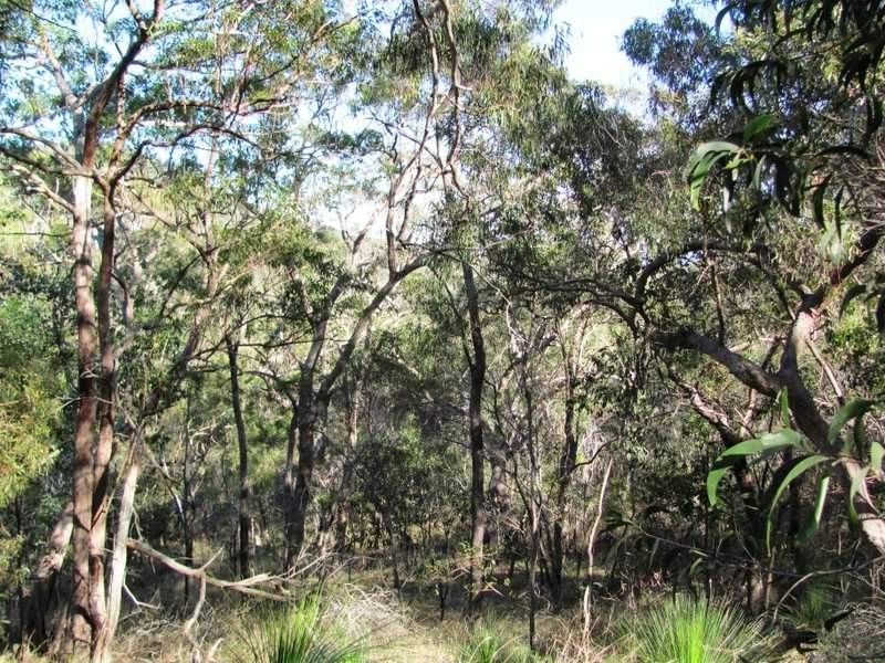 Lot 351 Streeter Drive, Agnes Water QLD 4677