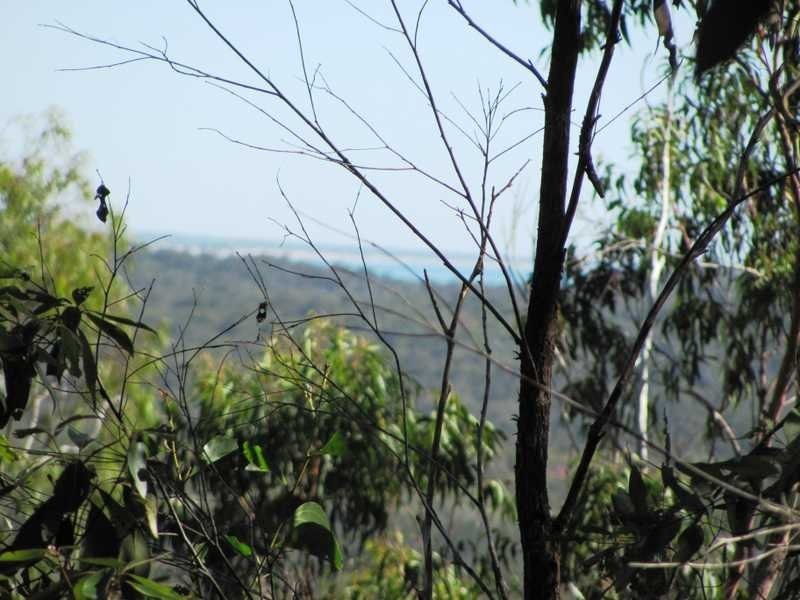 Lot 351 Streeter Drive, Agnes Water QLD 4677