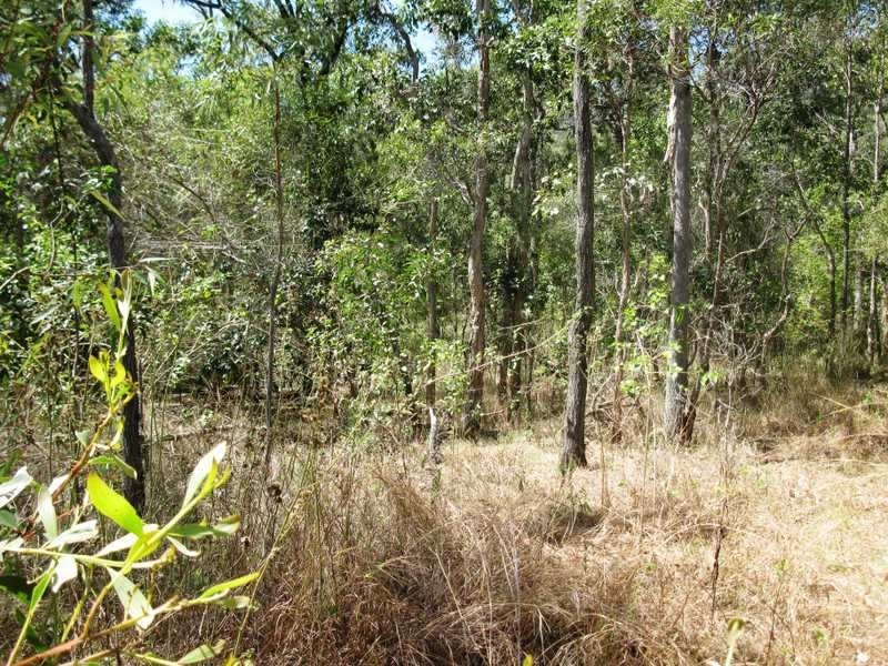 144 Rafting Ground Road, Agnes Water QLD 4677