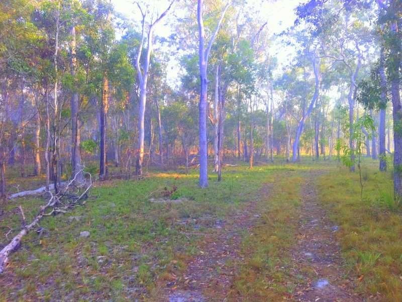Lot 182 Murphy Road, Captain Creek QLD 4677