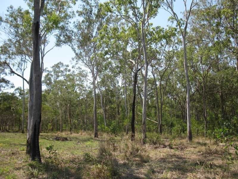 Lot 182 Murphy Road, Captain Creek QLD 4677