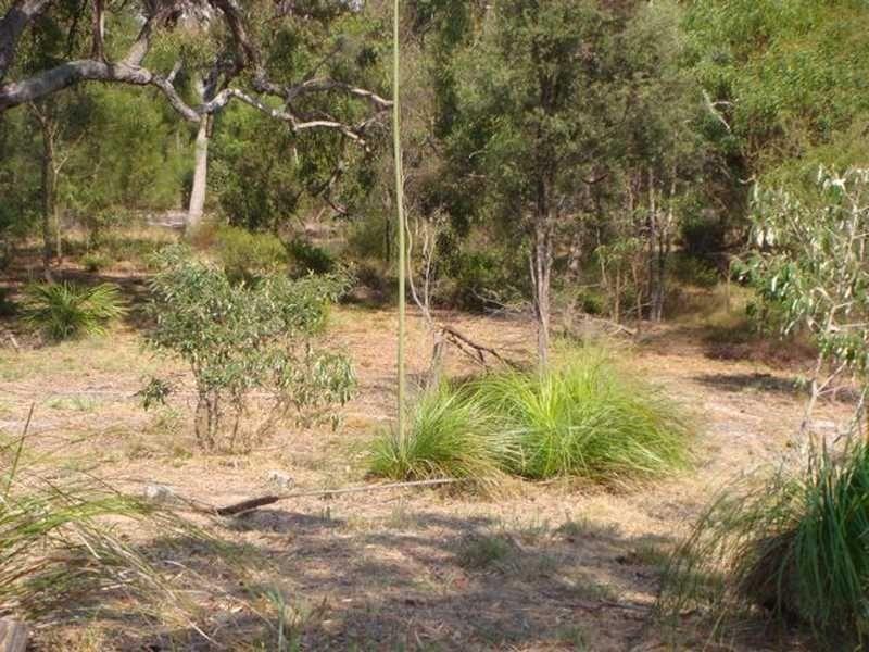 Lot 8 Bloodwood Ave Nth Sunrise, Agnes Water QLD 4677