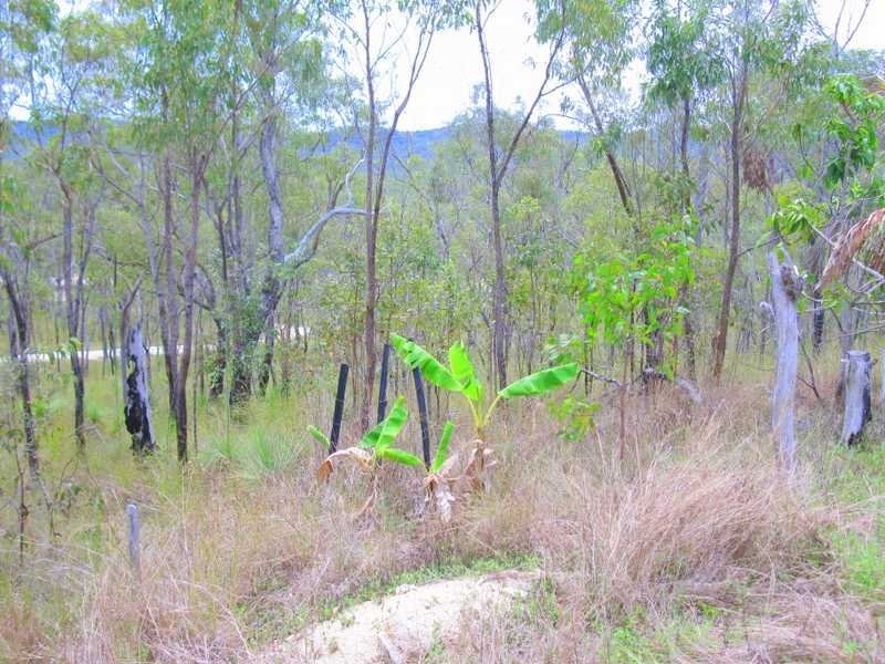 226 Murphy Road, Captain Creek QLD 4677